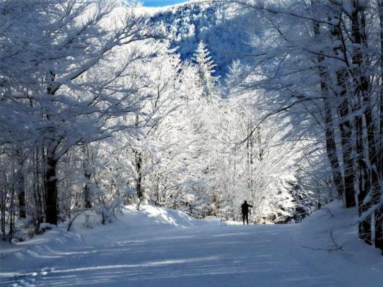 Chréa National Park